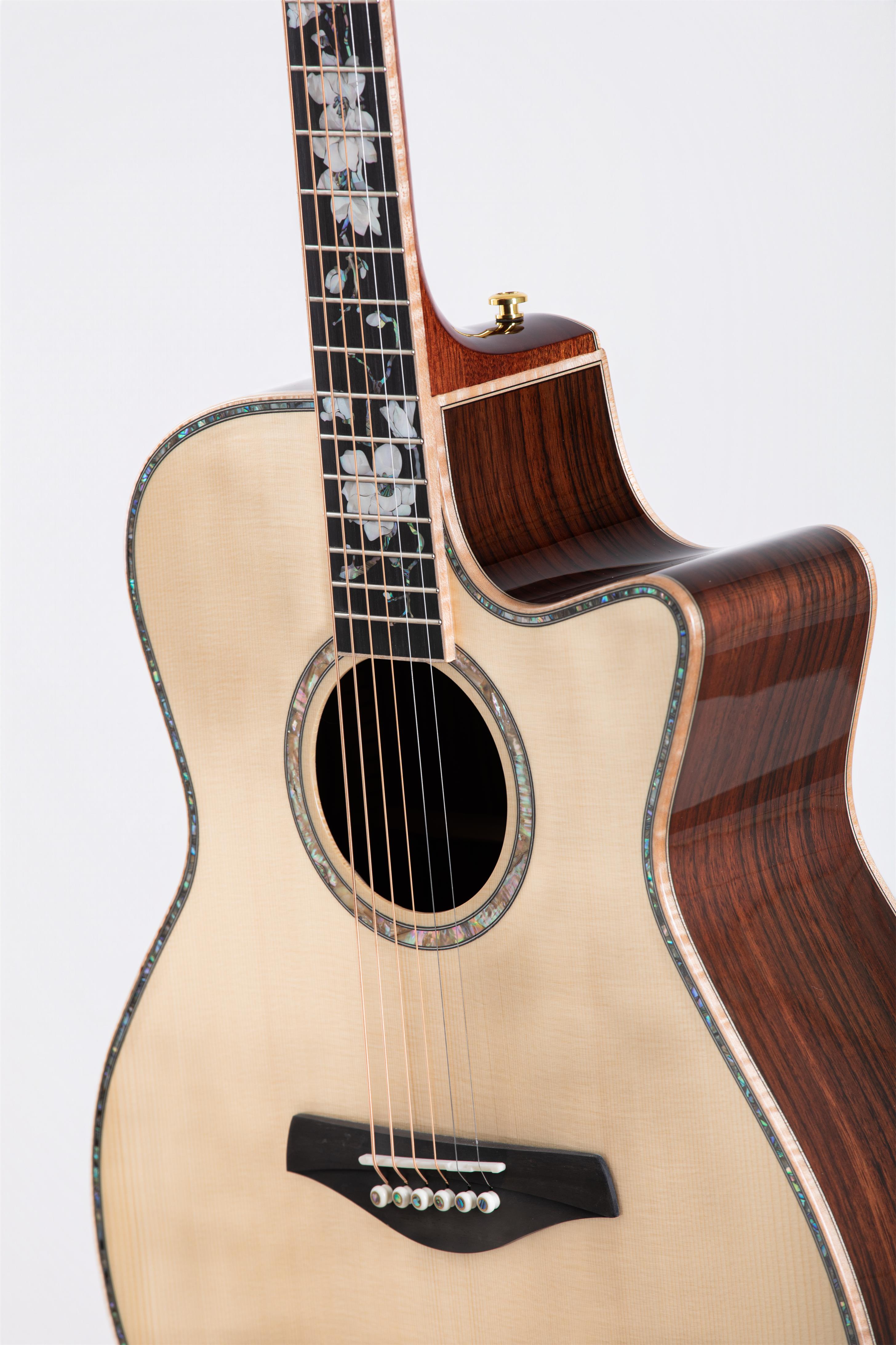 New Firefly  GF41-F Acoustic Guitar